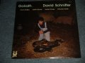 DAVID SCHNITTER - GOLIATH (SEALED) / 1978 US AMERICA ORIGINAL "BRAND NEW SEALED"  LP