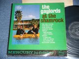 画像: THE GAYLORDS - AT THE SHAMROCK   /  1962 US  ORIGINAL MONO Used LP