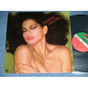 画像: RAY BARRETTO ( Percussionist : Latin Fusion / Funky Jazz )  - CAN YOU FEEL IT   ( Ex++/Ex++  / 1978 US AMERICA ORIGINAL  Used  LP 