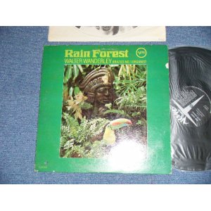 画像: WALTER WANDERLEY - RAIN FOREST( Ex+/Ex+++ BB )  / 1966 US AMERICA ORIGINAL MONO Used LP