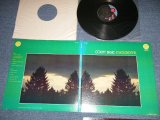 画像: COUNT BASIE - EVERGREENS   ( Ex++/MINT- :Cut Out ) / 1972 US AMERICA   ORIGINAL  Used  LP 