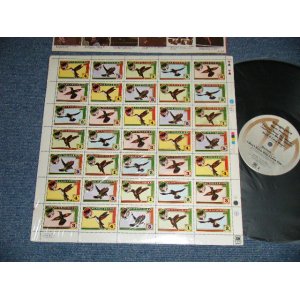 画像: HUMMINGBIRD - HUMMINGBIRD (MINT-/MINT-)  / 1975 US AMERICA ORIGINAL  Used LP 