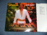 画像:  JAY HOGGARD  - RAIN FOREST (NEW) ) / 1981 US AMERICA ORIGINAL "BRAND NEW" LP