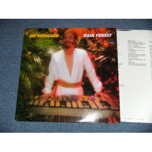 画像:  JAY HOGGARD  - RAIN FOREST (NEW) ) / 1981 US AMERICA ORIGINAL "BRAND NEW" LP