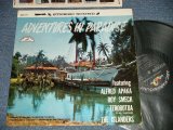 画像: V.A. ALFRED APAKA, ROY SMECK, TEROROTUA, The ISLANDERS   - ADVENTURES IN PARADISE   ( Ex+, Ex++/Ex++ ,  )  / 1959 US AMERICA ORIGINAL STEREO Used  LP 