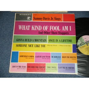 画像: SAMMY DAVIS, JR. - SINGS WHAT KIND OF FOOL AM I  ( Ex++/Ex++ Looks:MINT- )  / 1962 US AMERICA ORIGINAL 1st Press"TRIPLE Color Label" STEREO Used  LP  