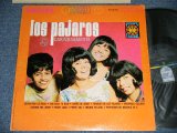 画像: LES PAJAROS (LATIN POP CHORUS)  - CARINO SAMENTE  ( Ex+/Ex+++) / 19662  US AMERICA ORIGINAL STEREO Used  LP