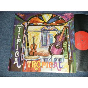 画像: ORQUESTA TIPICA TROPICAL - ORQUESTA TIPICA TROPICAL (NEW YORK SALSA)  (Ex+++/Ex+++ EDSP) /  US AMERICA ORIGINAL Used LP   