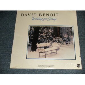 画像: DAVID BENOIT - WAITING FOR SPRING (SEALED CUT OUT) / 1989 US AMERICA ORIGINAL "BRAND NEW SEALED"  LP