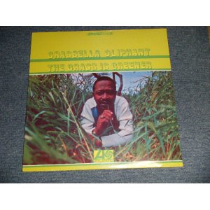 画像: GRASSELLA OLIPHANT - The Grass Is Greener (SEALED) / 2002 US AMERICA REISSUE "BRAND NEW SEALED"  LP