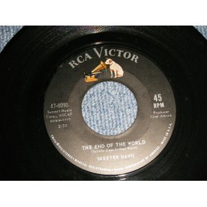 画像: SKEETER DAVIS -  A) THE END OF THE WORLD  B) SOMEBODY LOVES YOU (Ex++/Ex++)/ 1963 US AMERICA ORIGINAL Used 7" 45rpm Single 