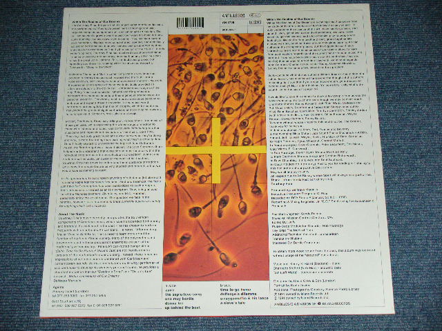 画像: COURTNEY PINE - WITHIN THE REALMS OF OUR DREAM  / 1991 UK ENGLAND ORIGINAL Used LP 