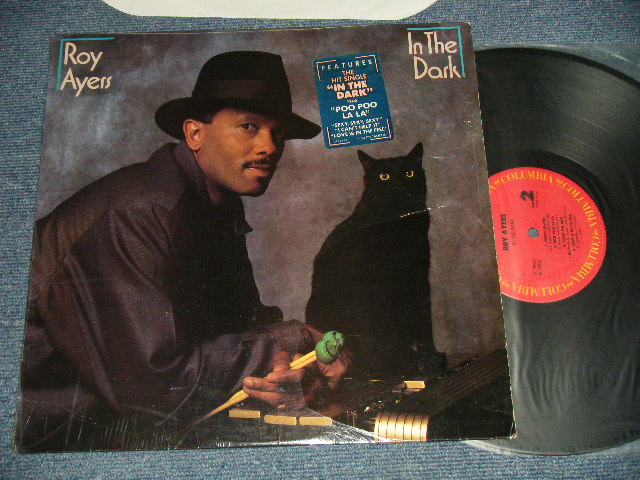 画像1: ROY AYERS - IN THE DARK (Ex++/MINT-) / 1984 US AMERICA ORIGINAL Used LP